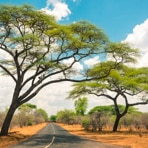 NBO