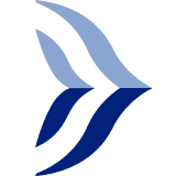 A3