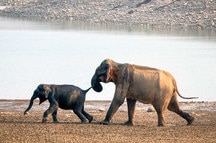 Corbett Corbett