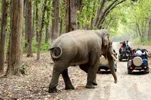 jim corbett jim corbett