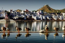 Pushkar Pushkar