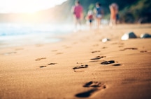 Footprints on the beach Footprints on the beach