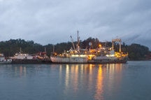 Cruise in Port Blair Cruise in Port Blair