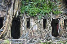 The Ross Island The Ross Island