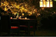 Dinner under the stars Dinner under the stars