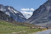 Manali Manali