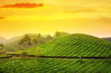Lose yourself in the beauty of the place Lose yourself in the beauty of the place
