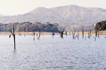 The captivating Periyar Lake The captivating Periyar Lake