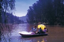 Taj Savoy, Ooty Taj Savoy, Ooty