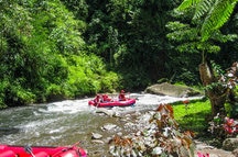 Rafting in the canyon on Balis mountain river, Indonesia Rafting in the canyon on Balis mountain river, Indonesia