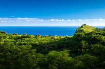 The tropical nature of the island Nusa Penida Bali The tropical nature of the island Nusa Penida Bali
