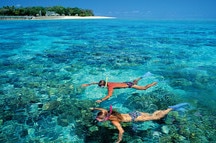 Snorkeling at Freen Island, Great Barrier Reef Snorkeling at Freen Island, Great Barrier Reef