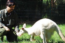 Cleland Wildlife Park Cleland Wildlife Park