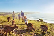 Kangaroo Island Kangaroo Island