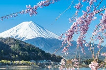 Mt Fuji Mt Fuji