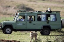 nairobi safari nairobi safari