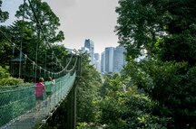 The 20.9 acres public aviary in Kuala Lumpur The 20.9 acres public aviary in Kuala Lumpur