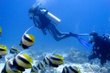 Snorkling Snorkling
