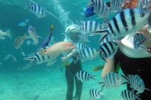 Undersea Walk Undersea Walk