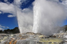 Rotorua Geyser Rotorua Geyser