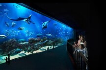 Underwater world Underwater world