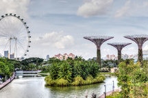 Singapore Flyer and Supertree Grove Singapore Flyer and Supertree Grove