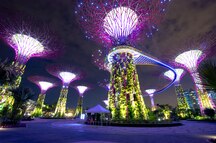 The awe-inspiring Supertree Grove, Gardens by the Bay The awe-inspiring Supertree Grove, Gardens by the Bay