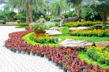 Nong Nooch Tropical Botanical Garden Nong Nooch Tropical Botanical Garden
