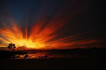 Krabi Krabi