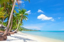 Beach Beach