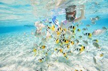 Scuba Diving in the clear blue waters of Koh Samui, Thailand Scuba Diving in the clear blue waters of Koh Samui, Thailand