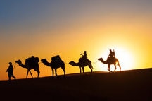 Camel Caravan in the desert Camel Caravan in the desert