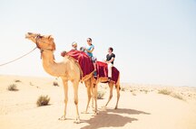 Camel Safari in Dubai Camel Safari in Dubai