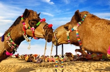Bikaner Bikaner