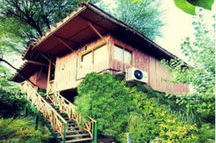 Day Outing at Treehouse Resort, Jaipur
Day Outing at Treehouse Resort, Jaipur