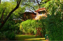 The Tree House Resort The Tree House Resort