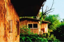 The Tree House Resort The Tree House Resort