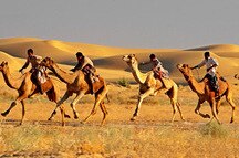 Camel rides in Jaisalmer Camel rides in Jaisalmer
