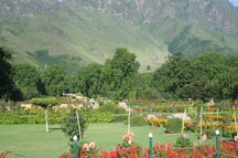 Mughal Gardens looking all pretty Mughal Gardens looking all pretty