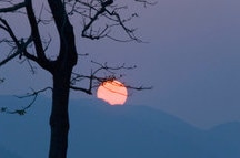 Kaziranga Kaziranga