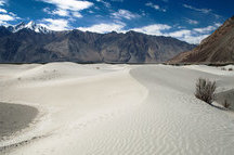 Dunes in the Nubra Valley Dunes in the Nubra Valley