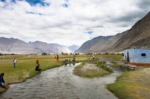 Nubra Valley Nubra Valley