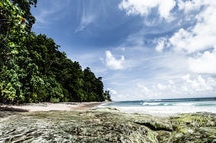 The gorgeous beach The gorgeous beach