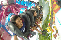 Ocean Park, Hong Kong Ocean Park, Hong Kong