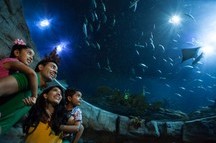Ocean Park, Hong Kong Ocean Park, Hong Kong