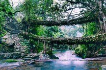 Trek to Double Decker Living Root Bridge, Cherrapunji Trek to Double Decker Living Root Bridge, Cherrapunji