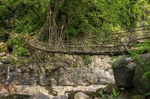 Trek to Double Decker Living Root Bridge, Cherrapunji Trek to Double Decker Living Root Bridge, Cherrapunji