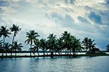 Palms and the cool breeze, what else do you want? Palms and the cool breeze, what else do you want?