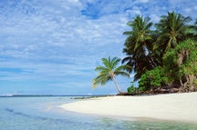 Beach Seashore in Maldives Beach Seashore in Maldives