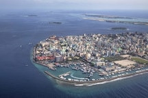 Male City Male City